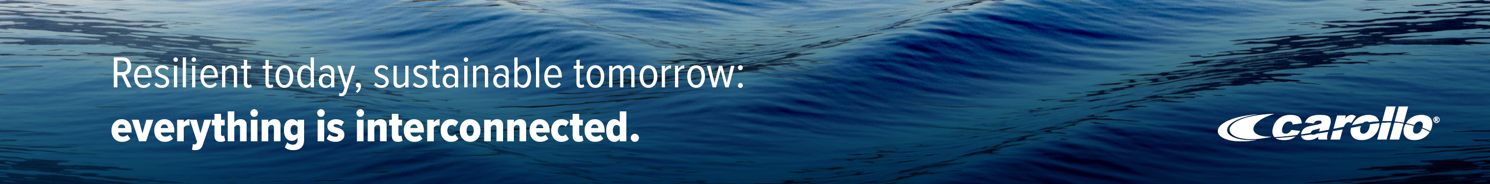 Carollo_2024 Carollo_2024