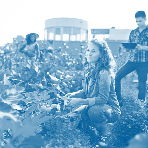 holistic-regs holistic-regs