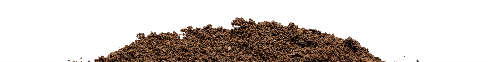 Screenshot 2024-12-12 at 6.36.27 PM