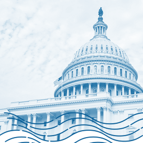 issues-in-depth issues-in-depth